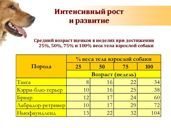 Интенсивный рост и развитие Средний возраст щенков в неделях при достижении 25%, 50%, 75%