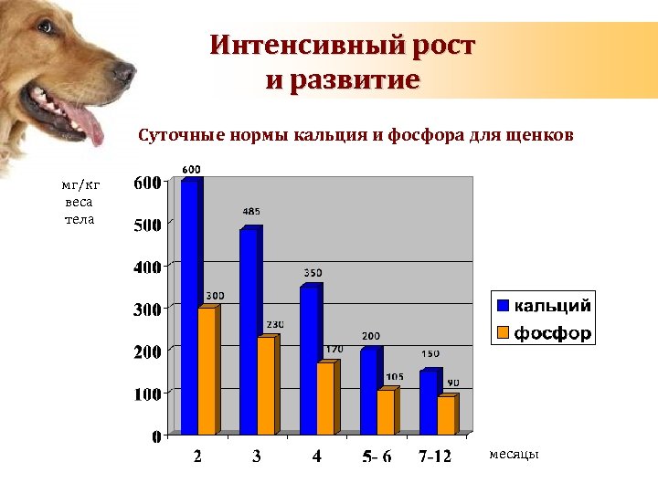 Интенсивный рост и развитие Суточные нормы кальция и фосфора для щенков мг/кг веса тела