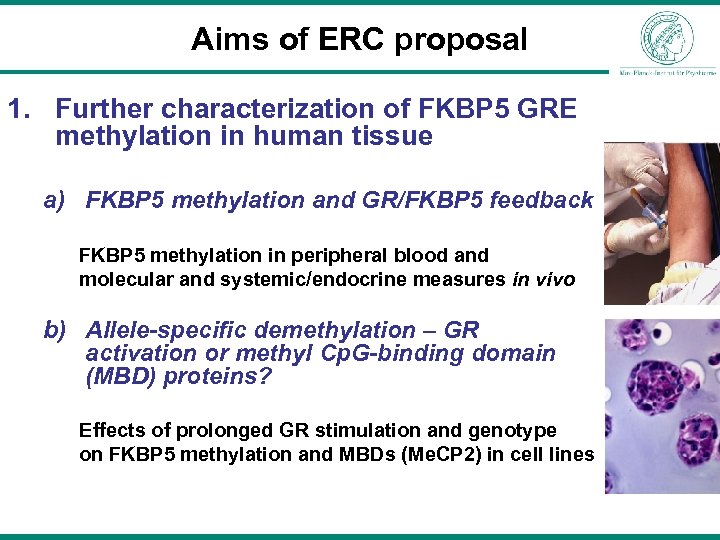 Aims of ERC proposal 1. Further characterization of FKBP 5 GRE methylation in human