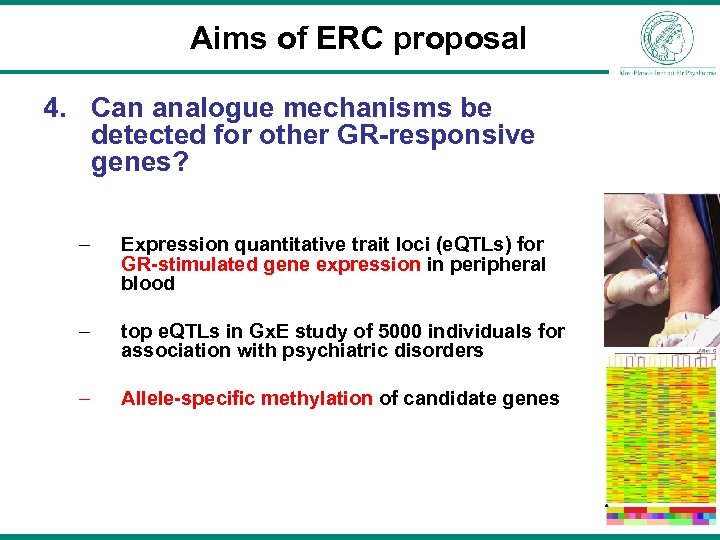 Aims of ERC proposal 4. Can analogue mechanisms be detected for other GR-responsive genes?