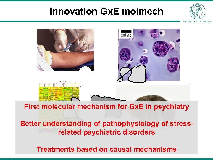 Innovation Gx. E molmech First molecular mechanism for Gx. E in psychiatry Better understanding