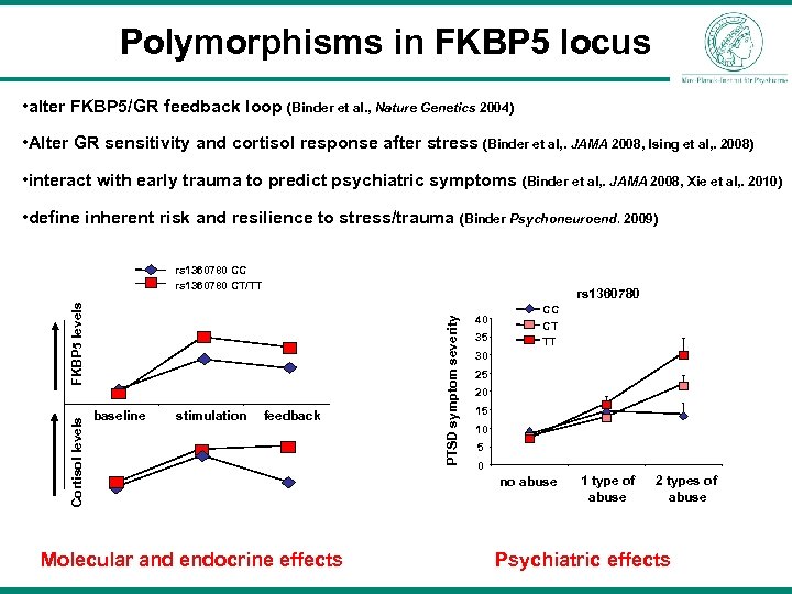 Polymorphisms in FKBP 5 locus • alter FKBP 5/GR feedback loop (Binder et al.
