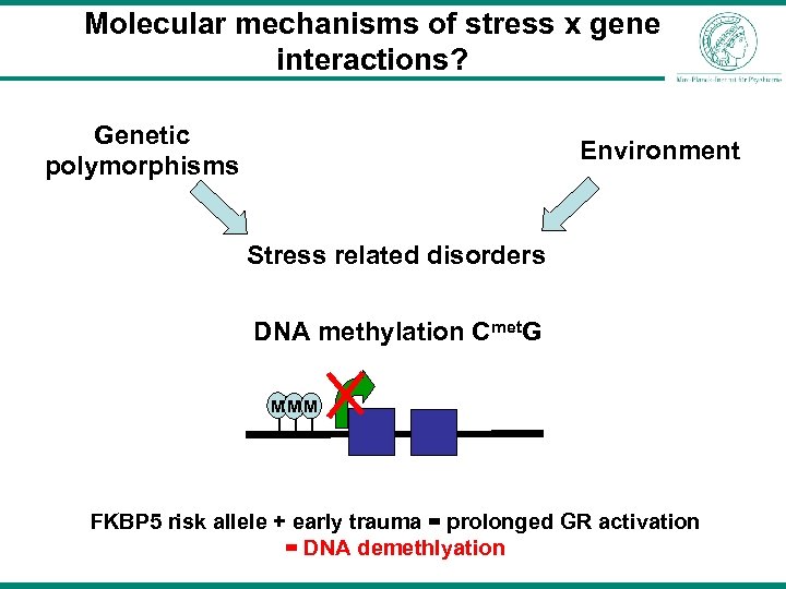 Molecular mechanisms of stress x gene interactions? Genetic polymorphisms Environment Stress related disorders DNA
