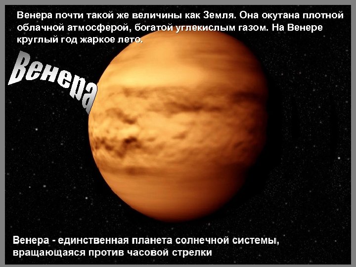 Венера почти такой же величины как Земля. Она окутана плотной облачной атмосферой, богатой углекислым