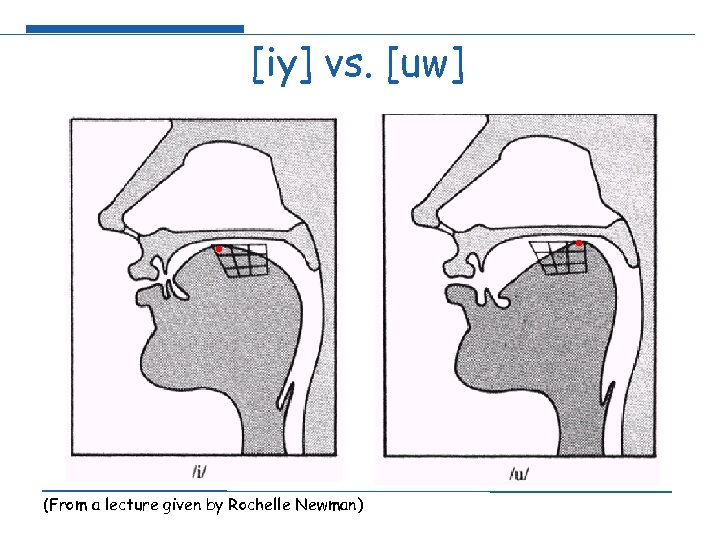 [iy] vs. [uw] (From a lecture given by Rochelle Newman) 