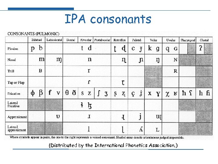 IPA consonants (Distributed by the International Phonetics Association. ) 