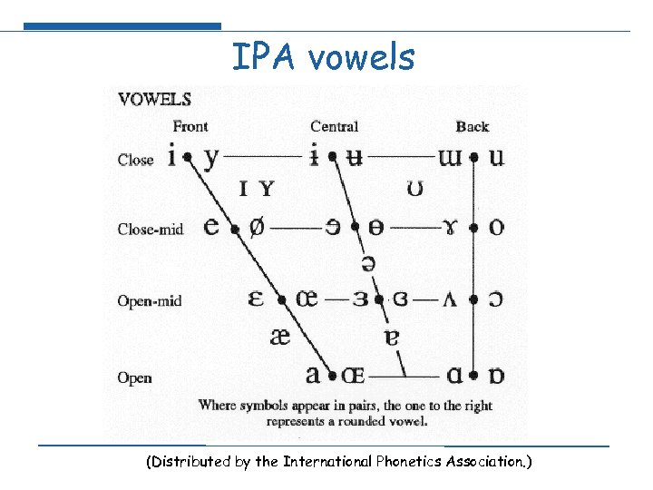 IPA vowels (Distributed by the International Phonetics Association. ) 