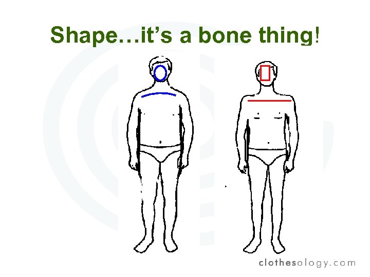 Shape…it’s a bone thing! 