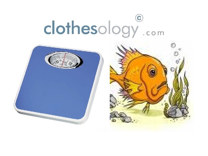 The Style Solutions Company 