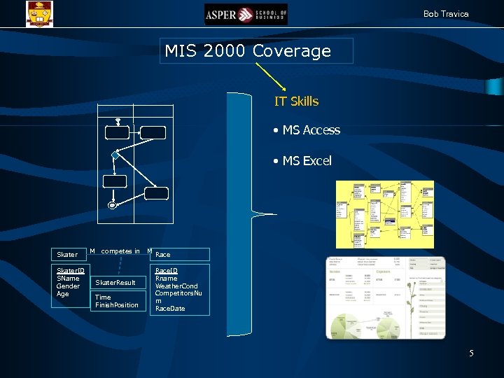 Bob Travica MIS 2000 Coverage IT Skills • MS Access • MS Excel Skater.