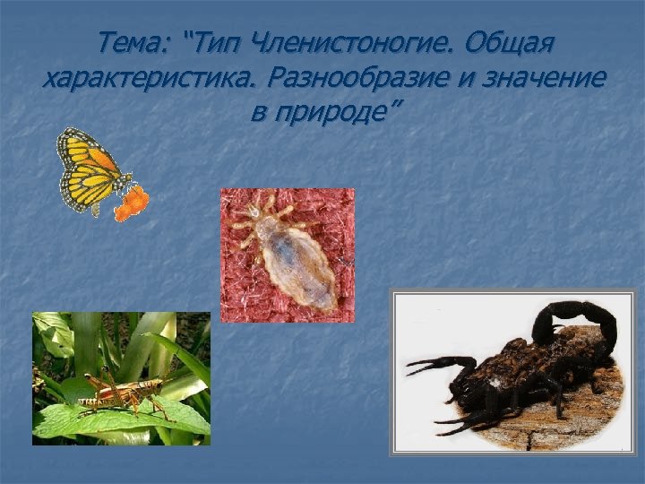 Тема: “Тип Членистоногие. Общая характеристика. Разнообразие и значение в природе” 