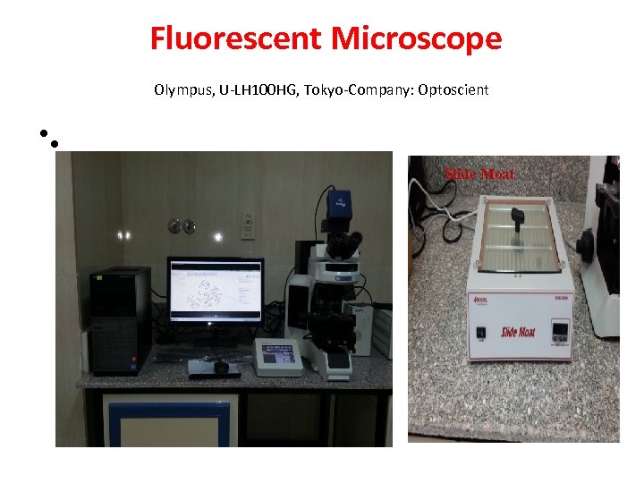  Fluorescent Microscope Olympus, U-LH 100 HG, Tokyo-Company: Optoscient • • Slide Moat 
