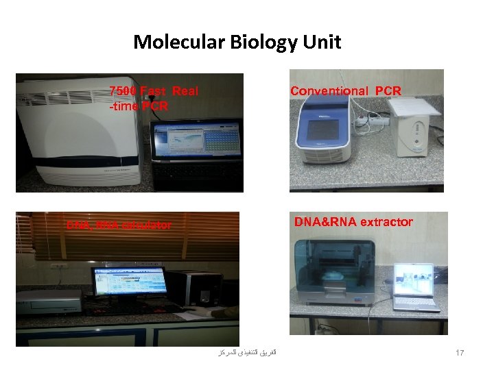 Molecular Biology Unit 7500 Fast Real -time PCR Conventional PCR DNA&RNA extractor DNA, RNA