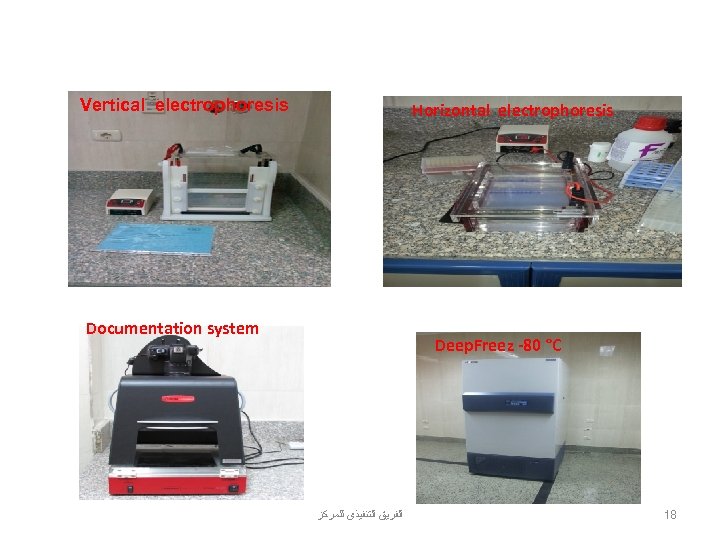 Vertical electrophoresis Horizontal electrophoresis Documentation system Deep. Freez -80 °C ﺍﻟﻔﺮﻳﻖ ﺍﻟﺘﻨﻔﻴﺬﻯ ﻟﻠﻤﺮﻛﺰ 18