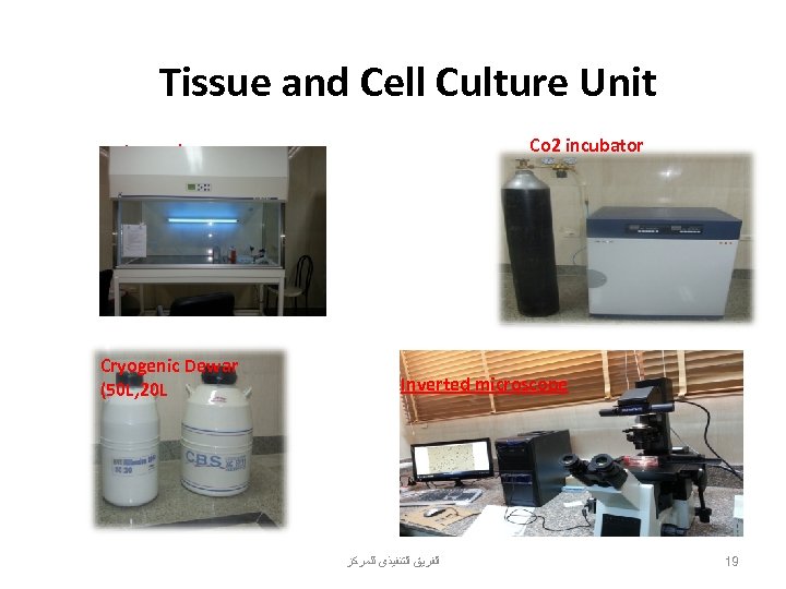 Tissue and Cell Culture Unit Co 2 incubator Ice maker Cryogenic Dewar (50 L,