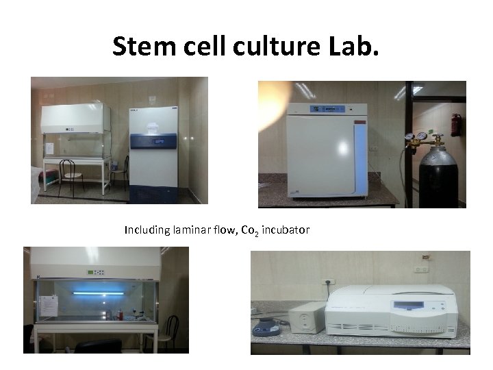 Stem cell culture Lab. Including laminar flow, Co 2 incubator 