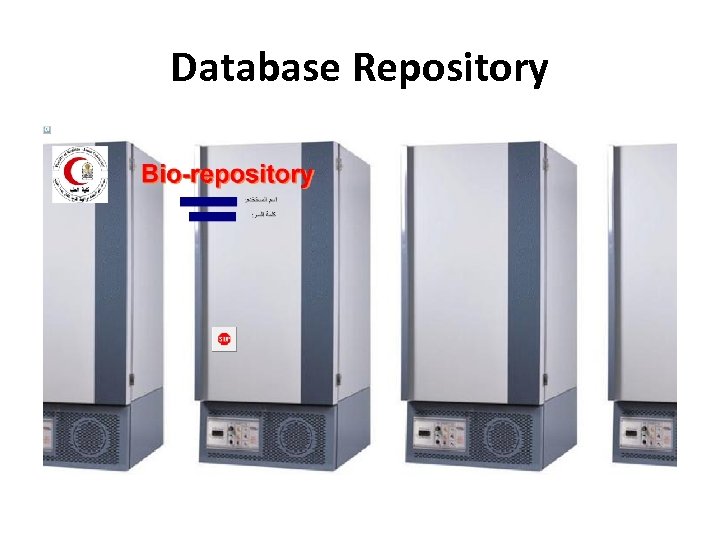 Database Repository 