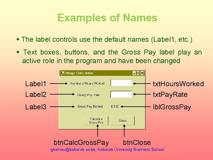 Examples of Names § The label controls use the default names (Label 1, etc.