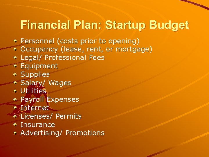 Financial Plan: Startup Budget Personnel (costs prior to opening) Occupancy (lease, rent, or mortgage)