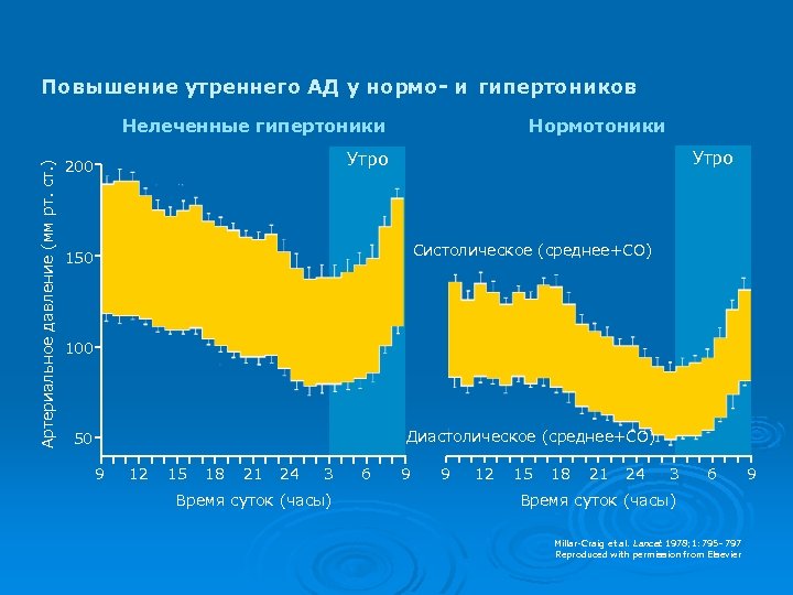 Повышение утреннего АД у нормо- и гипертоников Артериальное давление (мм рт. ст. ) Нелеченные