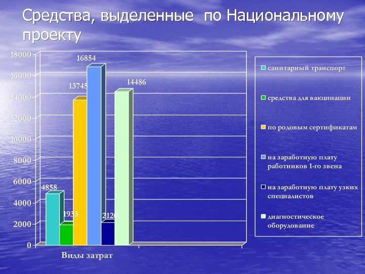 Средства, выделенные по Национальному проекту 