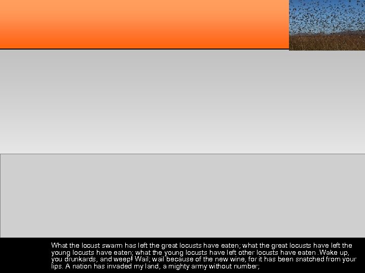 What the locust swarm has left the great locusts have eaten; what the great