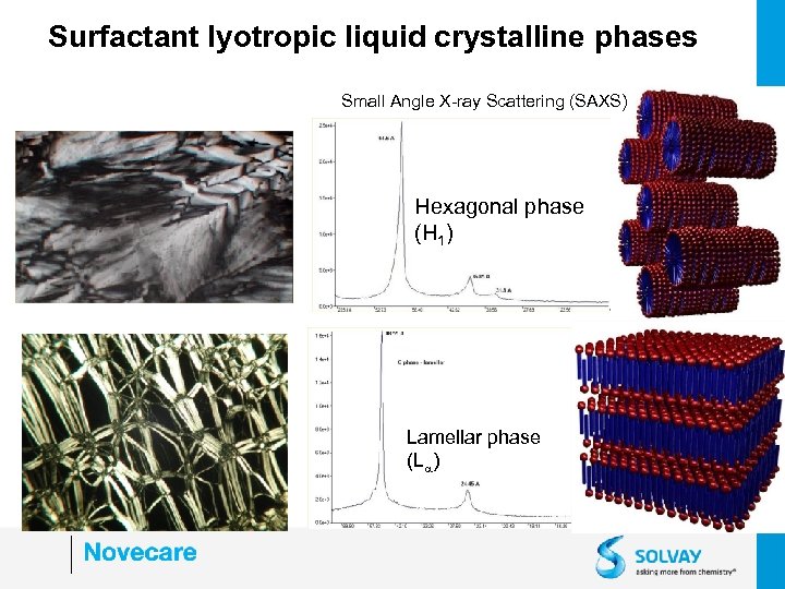 Surfactant lyotropic liquid crystalline phases Small Angle X-ray Scattering (SAXS) Hexagonal phase (H 1)