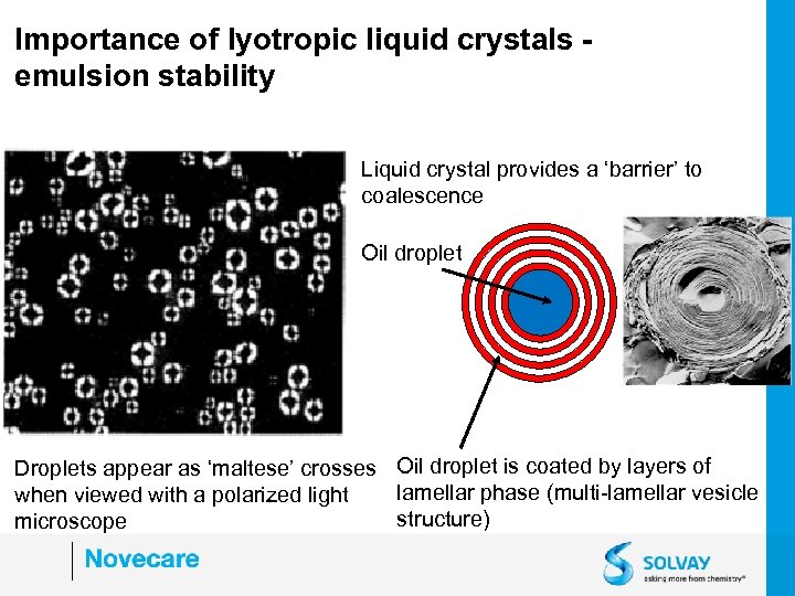 Importance of lyotropic liquid crystals emulsion stability Liquid crystal provides a ‘barrier’ to coalescence