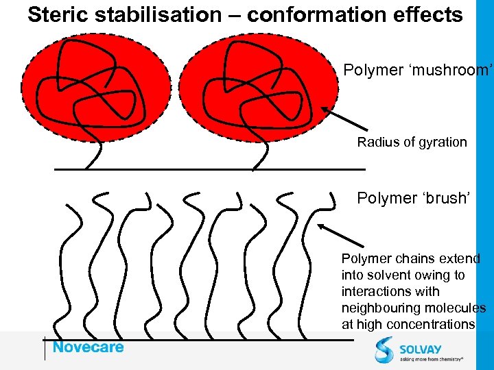 Steric stabilisation – conformation effects Polymer ‘mushroom’ Radius of gyration Polymer ‘brush’ Polymer chains