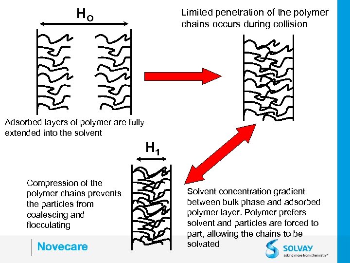 HO Limited penetration of the polymer chains occurs during collision Adsorbed layers of polymer