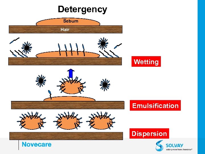 Detergency Sebum Hair Wetting Emulsification Dispersion 