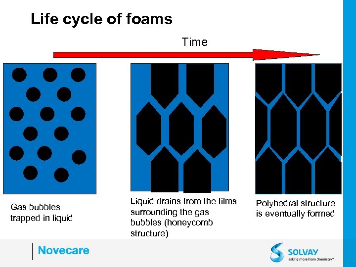 Life cycle of foams Time Gas bubbles trapped in liquid Liquid drains from the