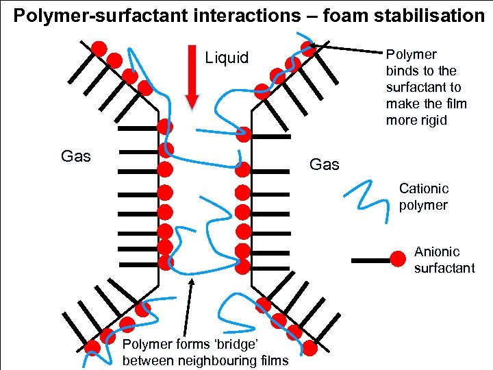 Polymer-surfactant interactions – foam stabilisation Polymer binds to the surfactant to make the film