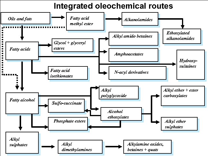 Integrated oleochemical routes Oils and fats Fatty acid methyl ester Alkanolamides Ethoxylated alkanolamides Alkyl