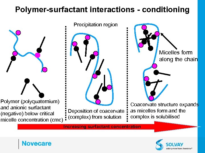 Polymer-surfactant interactions - conditioning Precipitation region Micelles form along the chain Polymer (polyquaternium) and
