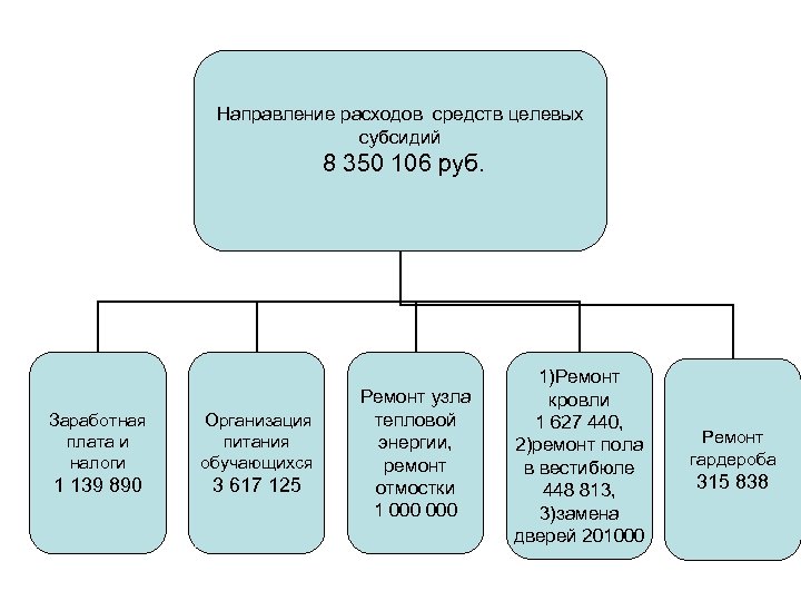 Направление расходов средств целевых субсидий 8 350 106 руб. Заработная плата и налоги Организация