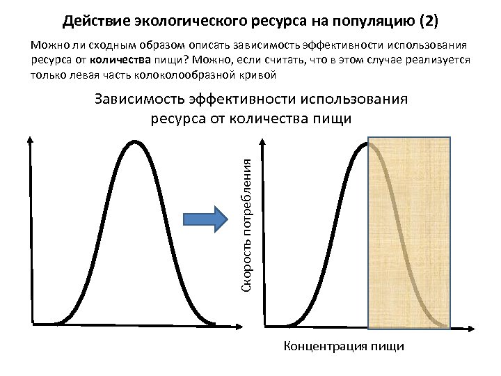 Сходным образом. Каскадный эффект в экологии. Влияние количества пищи на популяцию. Системная кривая скважины характеризует зависимость. Концентрация пищи и скорость потребления кривая.