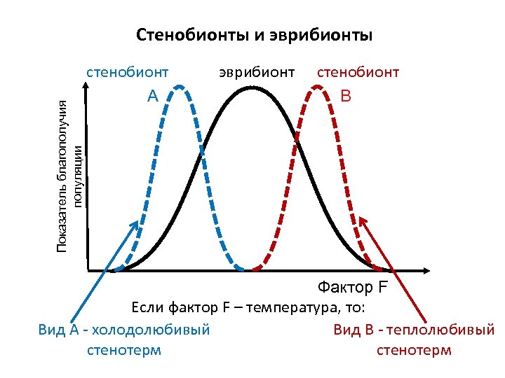 Стенобионты это