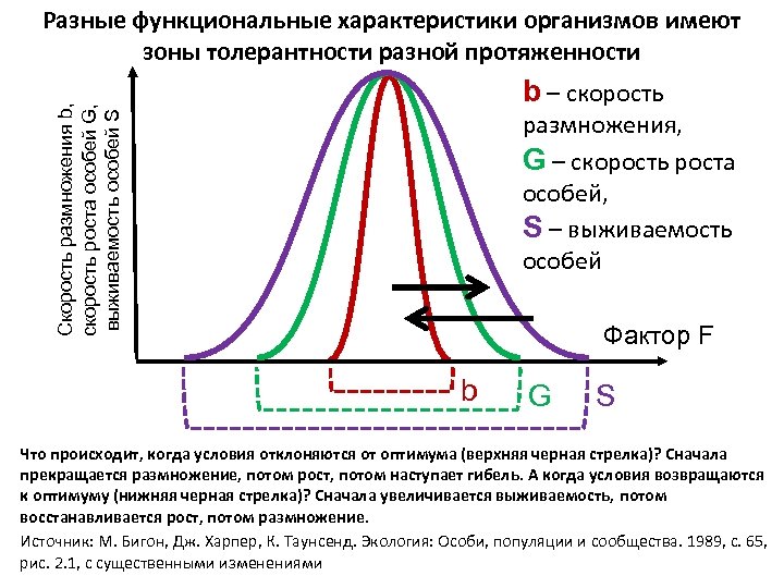 Функциональные параметры. Выживаемость в экологии определение. Однофазный цикл определение экологии. Скорость размножения организма от времени график биология человека. Влияние плотности на скорость роста и Размеры Бигон.