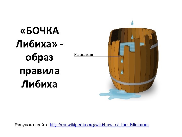 Что значит бочка. Биология бочка Либиха. Правило бочка Либиха. Бочка Либиха и лимитирующие факторы. Экология бочка Либиха.