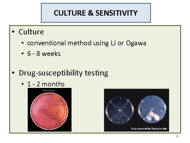CULTURE & SENSITIVITY • Culture • conventional method using LJ or Ogawa • 6