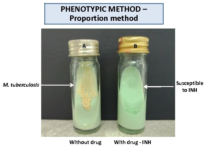 PHENOTYPIC METHOD – Proportion method A B Susceptible to INH M. tuberculosis Without drug