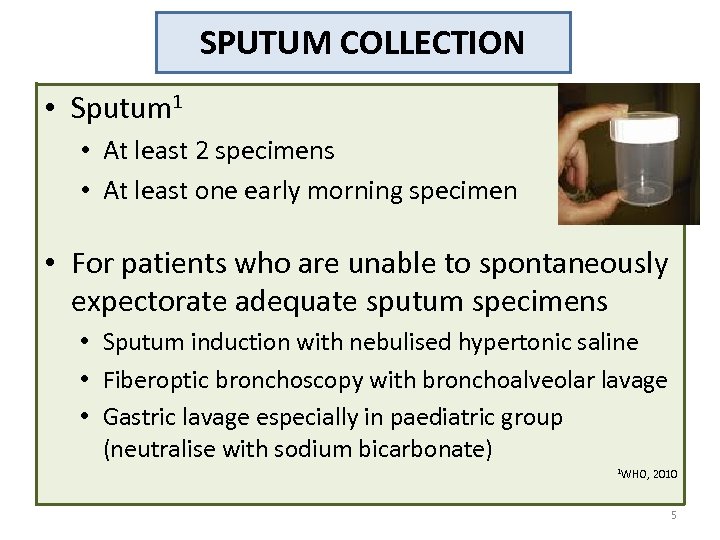 SPUTUM COLLECTION • Sputum 1 • At least 2 specimens • At least one