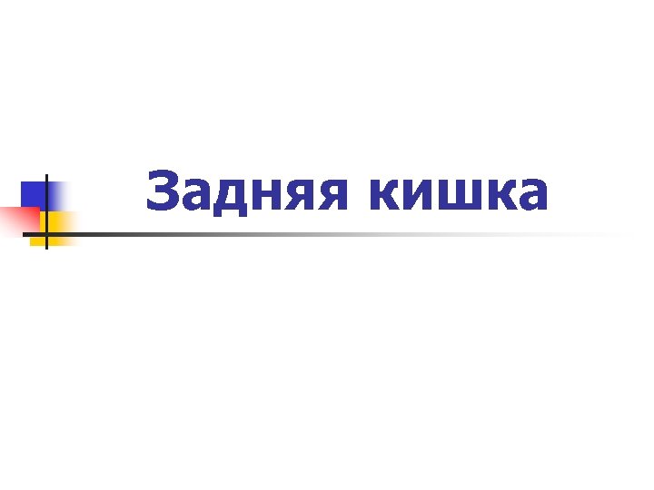 Задняя кишка 