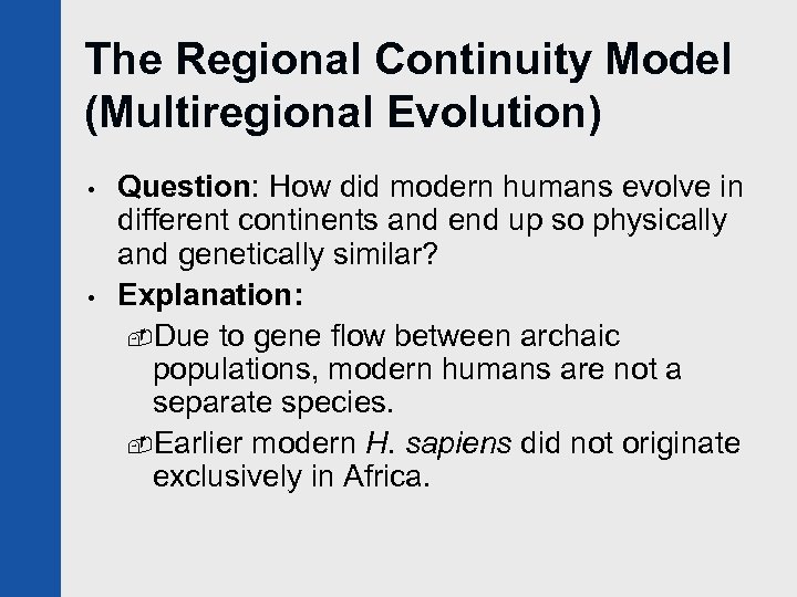 The Regional Continuity Model (Multiregional Evolution) • • Question: How did modern humans evolve