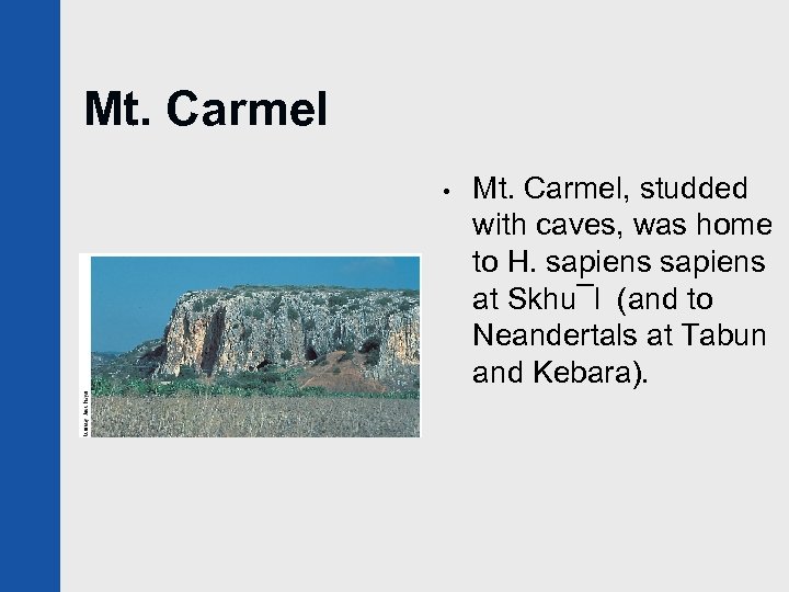 Mt. Carmel • Mt. Carmel, studded with caves, was home to H. sapiens at