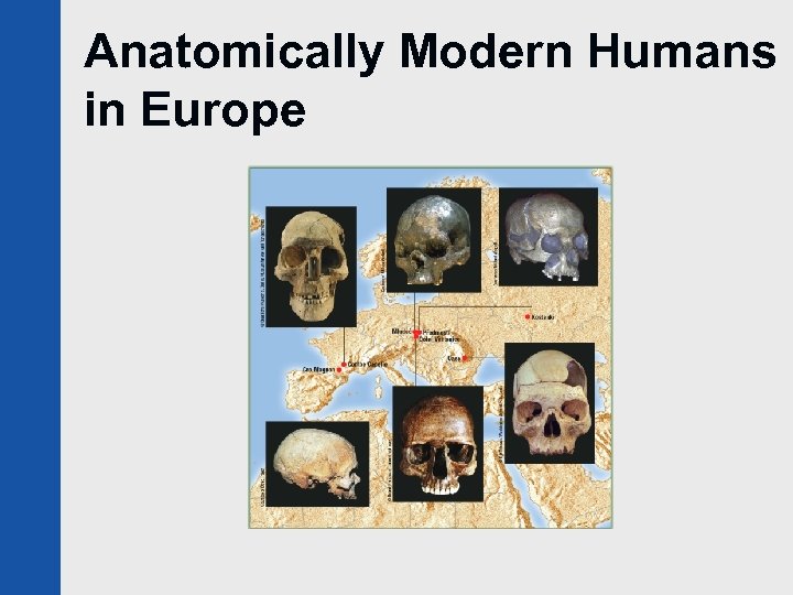 Anatomically Modern Humans in Europe 