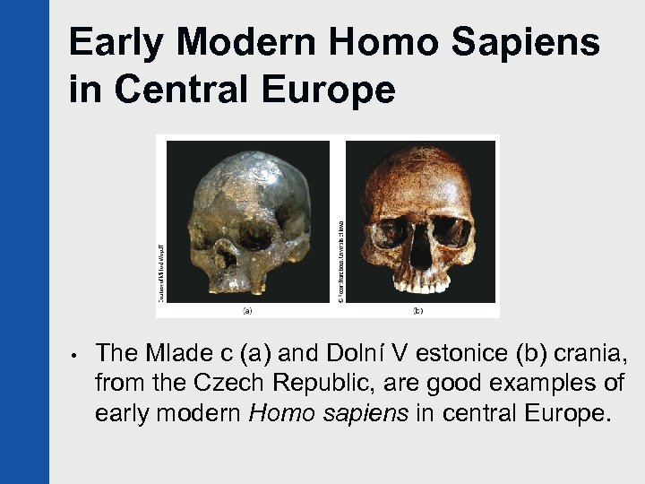 Early Modern Homo Sapiens in Central Europe • The Mlade c (a) and Dolní