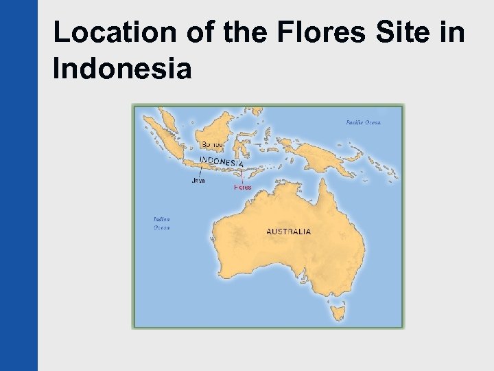 Location of the Flores Site in Indonesia 