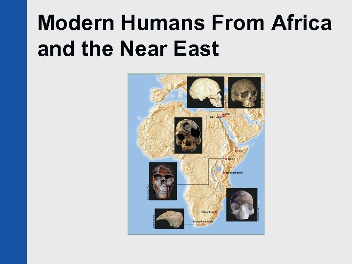 Modern Humans From Africa and the Near East 